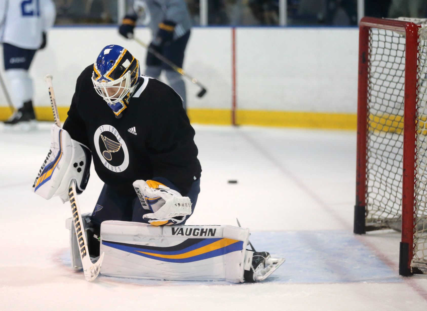 St. Louis Blues 2018-19 training camp